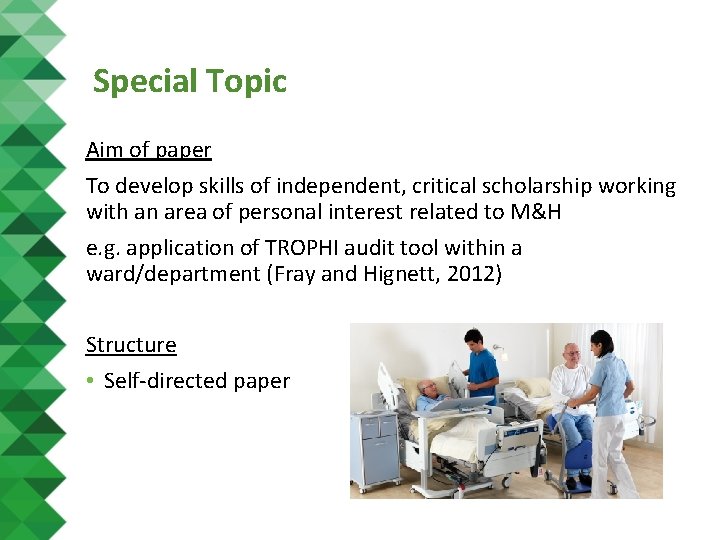 Special Topic Aim of paper To develop skills of independent, critical scholarship working with