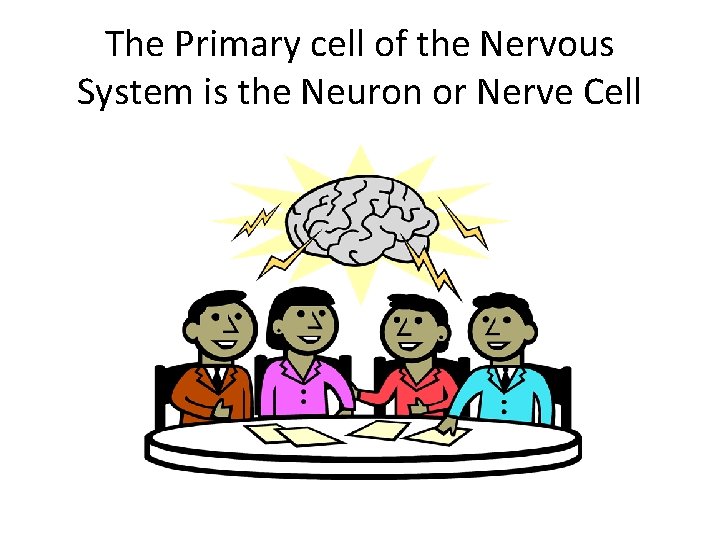 The Primary cell of the Nervous System is the Neuron or Nerve Cell 