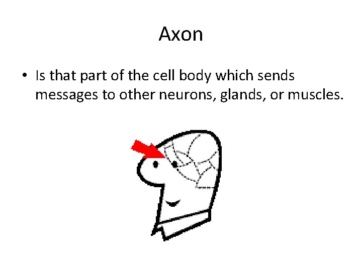 Axon • Is that part of the cell body which sends messages to other