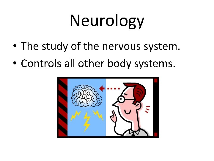 Neurology • The study of the nervous system. • Controls all other body systems.