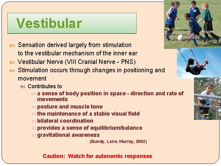 Vestibular Sensation derived largely from stimulation to the vestibular mechanism of the inner ear