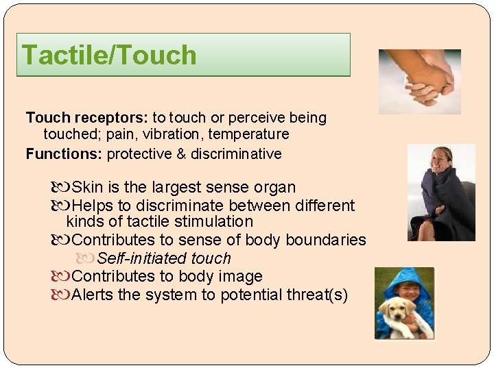Tactile/Touch receptors: to touch or perceive being touched; pain, vibration, temperature Functions: protective &