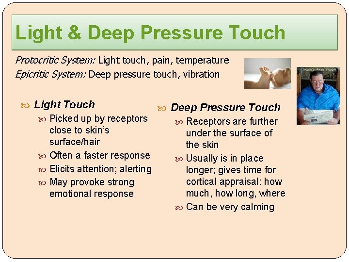 Light & Deep Pressure Touch Protocritic System: Light touch, pain, temperature Epicritic System: Deep