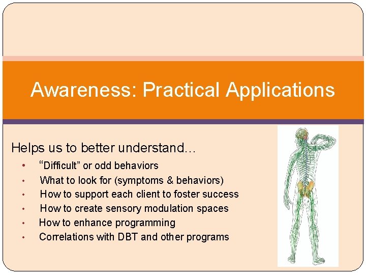 Awareness: Practical Applications Helps us to better understand… • “Difficult” or odd behaviors •