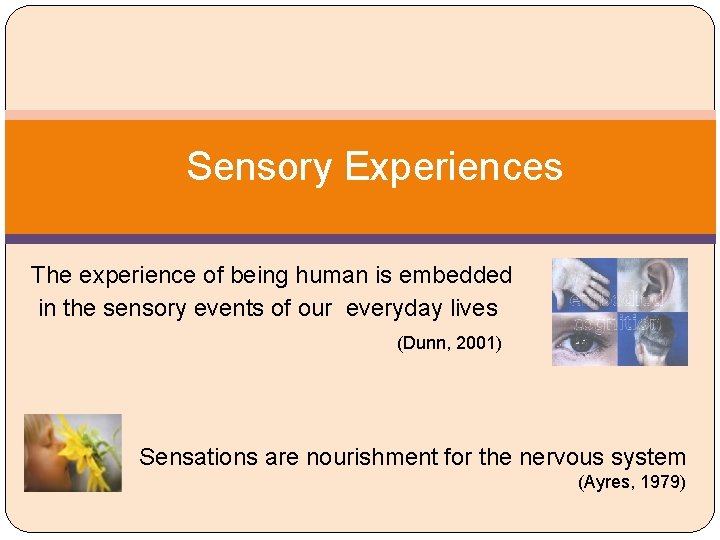 Sensory Experiences The experience of being human is embedded in the sensory events of