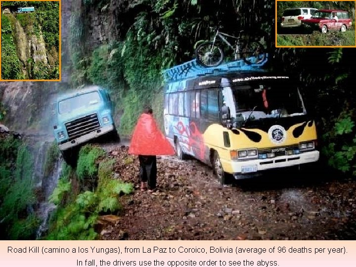 Road Kill (camino a los Yungas), from La Paz to Coroico, Bolivia (average of