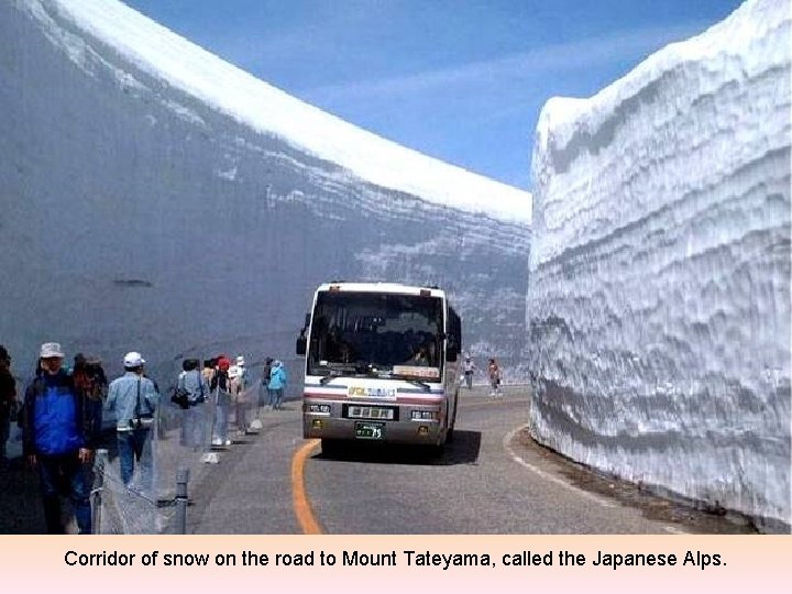 Corridor of snow on the road to Mount Tateyama, called the Japanese Alps. 