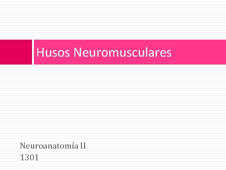 Husos Neuromusculares Neuroanatomía II 1301 