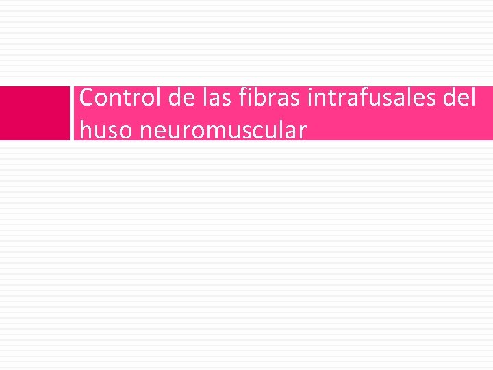 Control de las fibras intrafusales del huso neuromuscular 