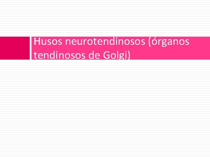 Husos neurotendinosos (órganos tendinosos de Golgi) 