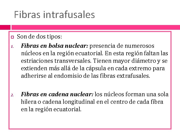 Fibras intrafusales 1. 2. Son de dos tipos: Fibras en bolsa nuclear: presencia de