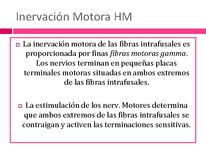 Inervación Motora HM La inervación motora de las fibras intrafusales es proporcionada por finas