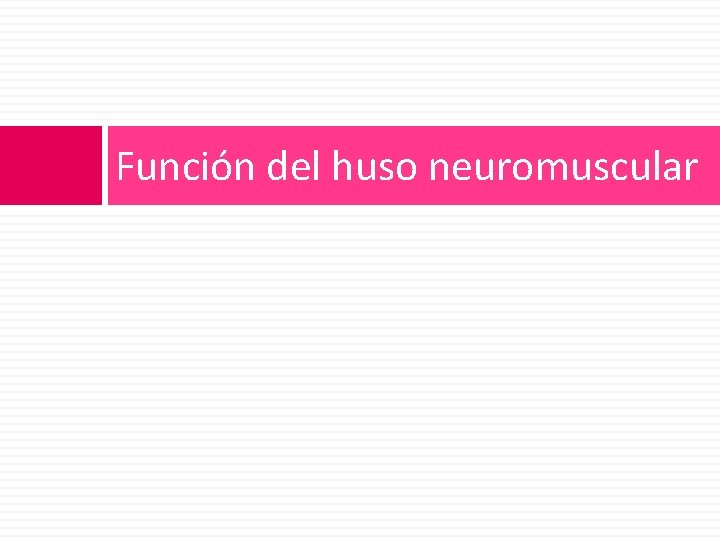 Función del huso neuromuscular 