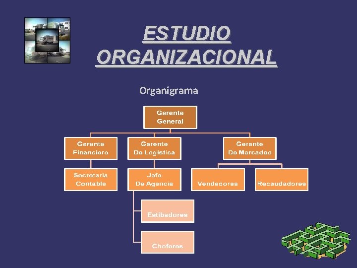 ESTUDIO ORGANIZACIONAL Organigrama 