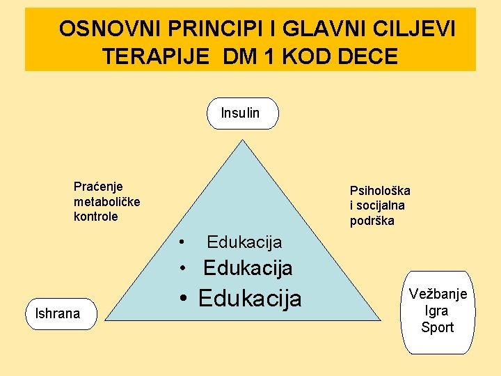  OSNOVNI PRINCIPI I GLAVNI CILJEVI TERAPIJE DM 1 KOD DECE Insulin Praćenje metaboličke