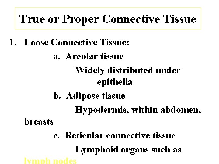 True or Proper Connective Tissue 1. Loose Connective Tissue: a. Areolar tissue Widely distributed