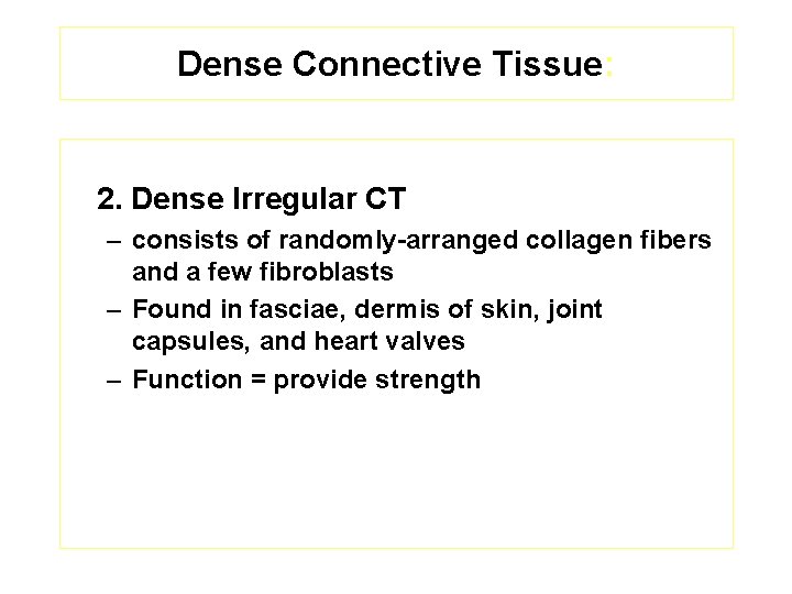 Dense Connective Tissue: 2. Dense Irregular CT – consists of randomly-arranged collagen fibers and