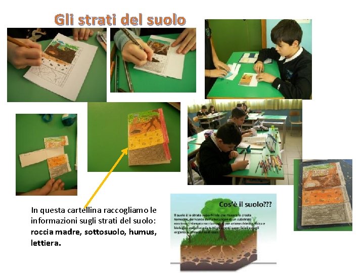 Gli strati del suolo In questa cartellina raccogliamo le informazioni sugli strati del suolo: