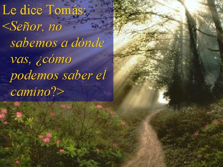 Le dice Tomás: <Señor, no sabemos a dónde vas, ¿cómo podemos saber el camino?