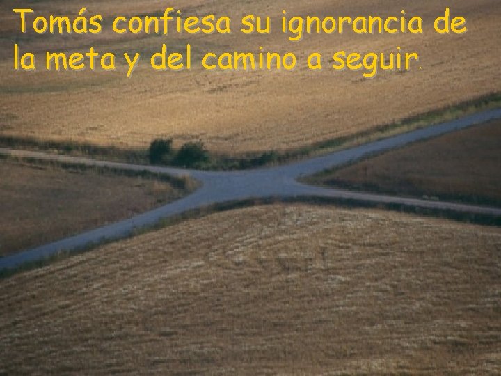 Tomás confiesa su ignorancia de la meta y del camino a seguir. 