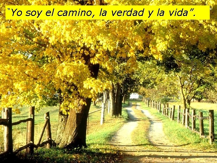 “Yo soy el camino, la verdad y la vida”. 