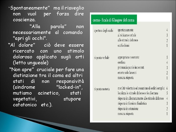 “Spontaneamente” ma il risveglio per forza dire non vuol coscienza. “Alla parola” non necessariamente