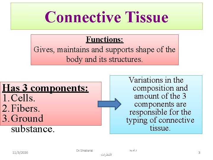 Connective Tissue Functions: Gives, maintains and supports shape of the body and its structures.