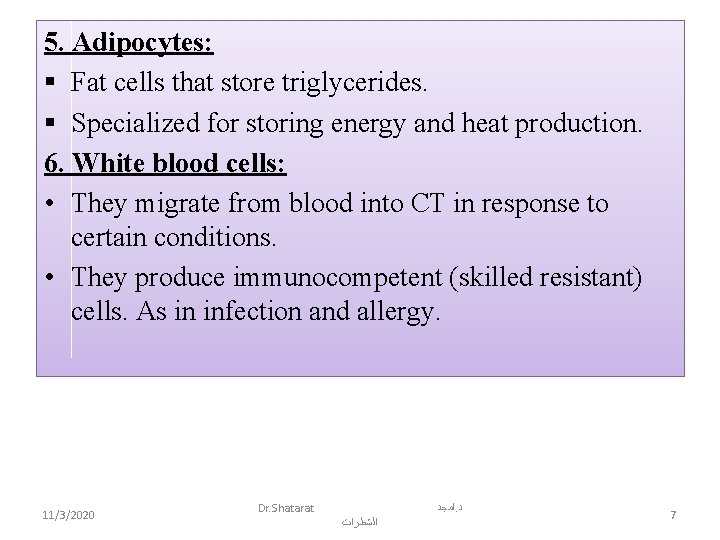 5. Adipocytes: § Fat cells that store triglycerides. § Specialized for storing energy and