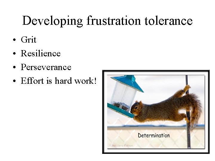 Developing frustration tolerance • • Grit Resilience Perseverance Effort is hard work! 