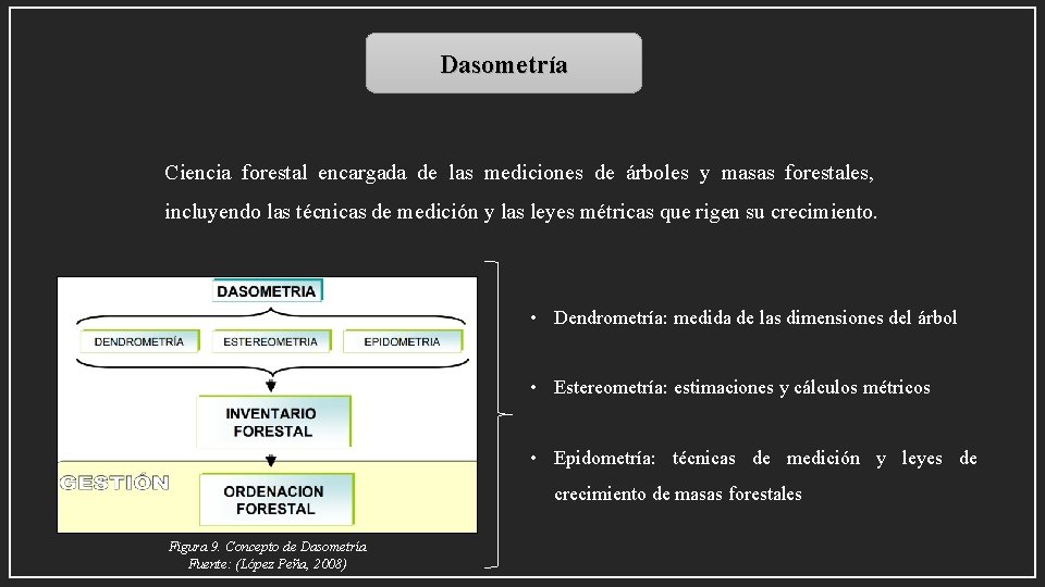 Dasometría Ciencia forestal encargada de las mediciones de árboles y masas forestales, incluyendo las