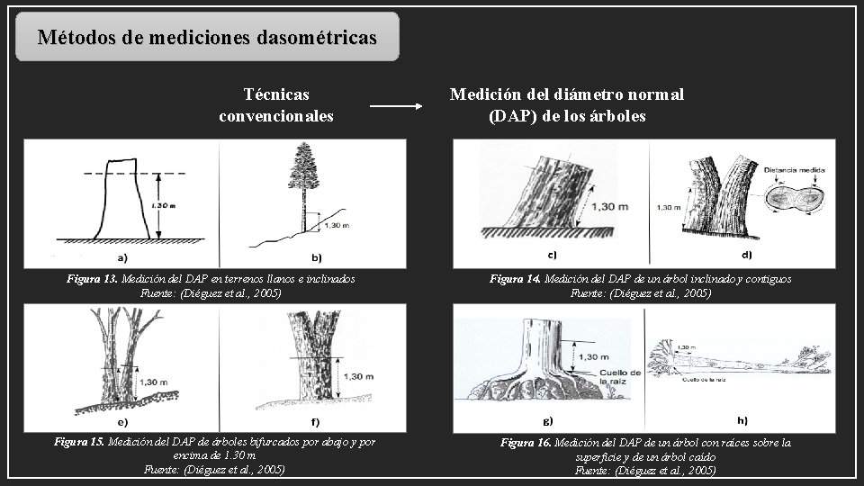 Métodos de mediciones dasométricas Técnicas convencionales Figura 13. Medición del DAP en terrenos llanos