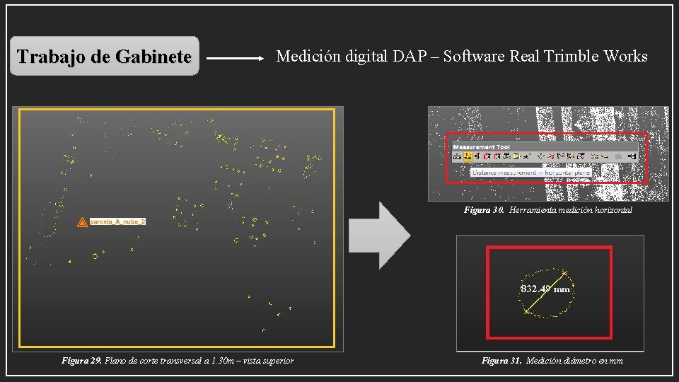 Trabajo de Gabinete Medición digital DAP – Software Real Trimble Works Figura 30. Herramienta