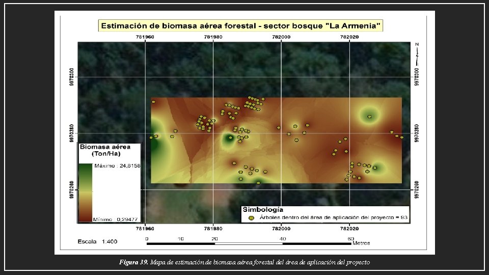 Figura 39. Mapa de estimación de biomasa aérea forestal del área de aplicación del