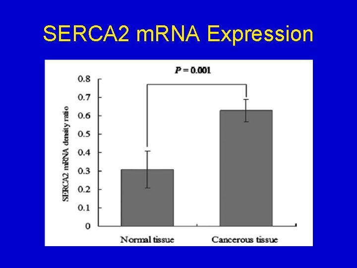 SERCA 2 m. RNA Expression 