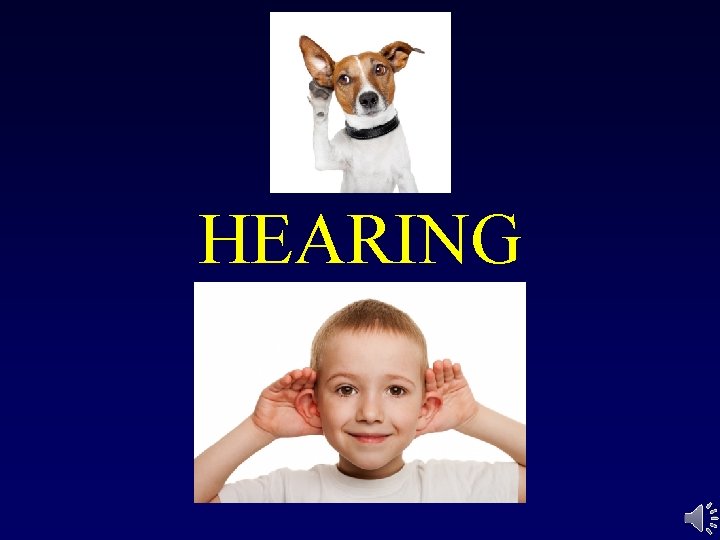 HEARING 