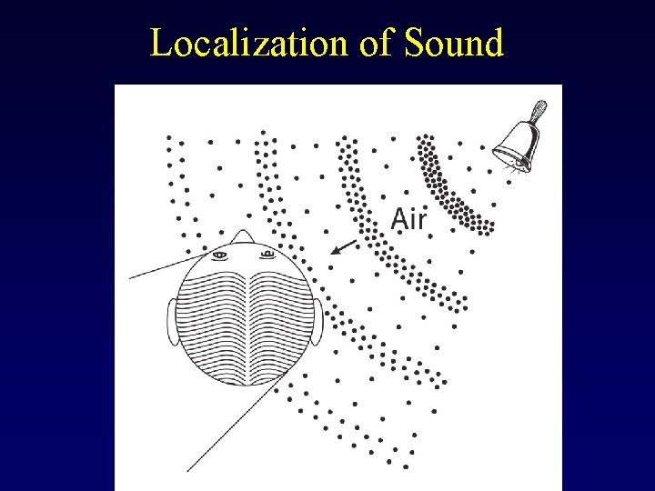 Localization of Sound 