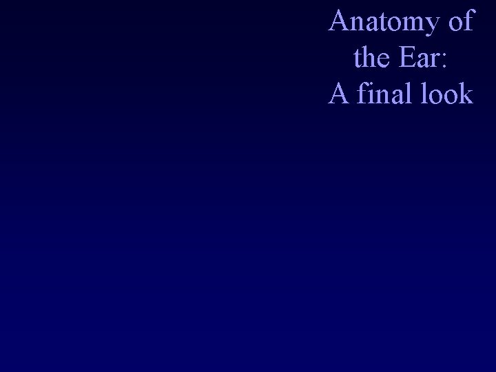 Anatomy of the Ear: A final look 