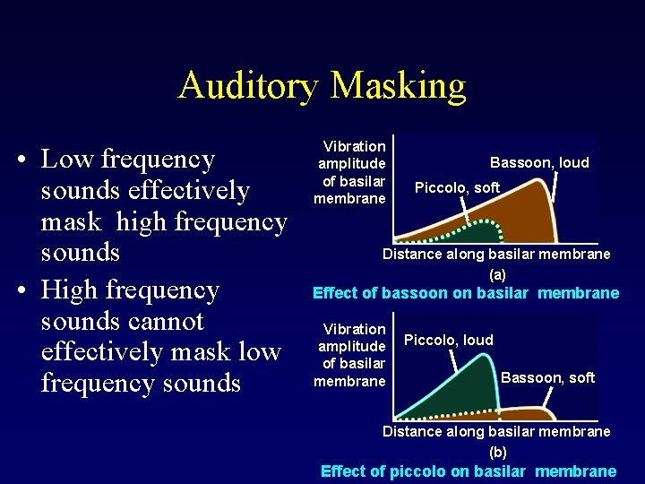 Auditory Masking • Low frequency sounds effectively mask high frequency sounds • High frequency