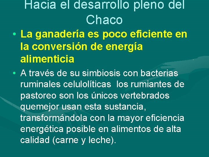 Hacia el desarrollo pleno del Chaco • La ganadería es poco eficiente en la