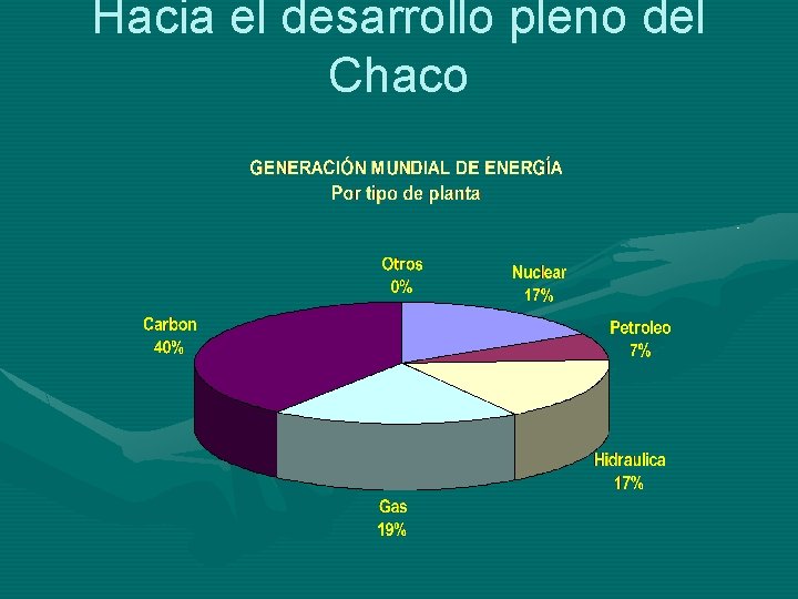 Hacia el desarrollo pleno del Chaco 