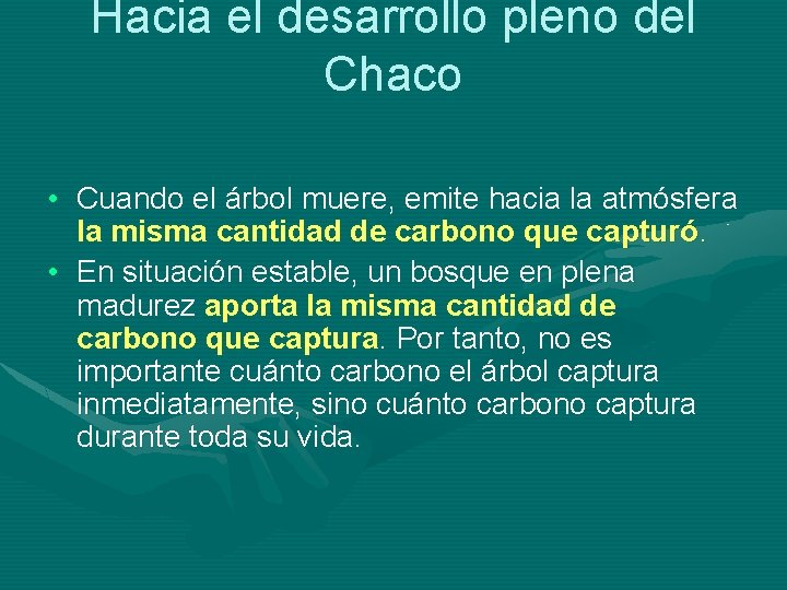 Hacia el desarrollo pleno del Chaco • Cuando el árbol muere, emite hacia la