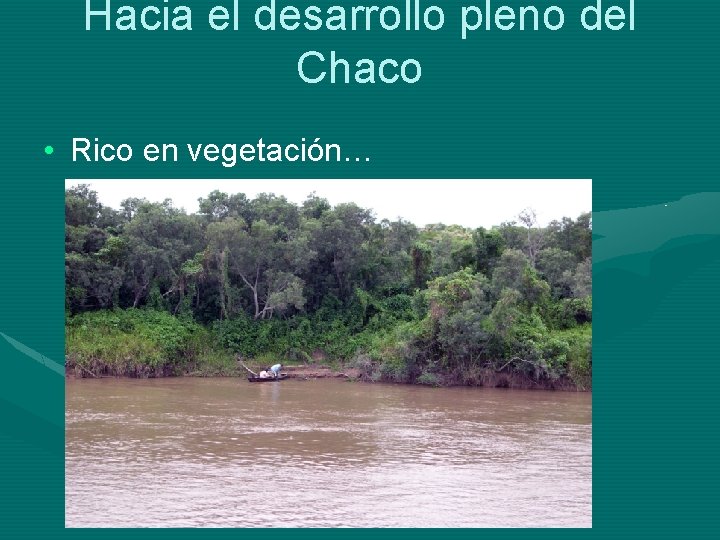 Hacia el desarrollo pleno del Chaco • Rico en vegetación… 