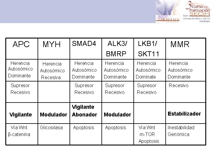 APC MYH SMAD 4 ALK 3/ BMRP LKB 1/ SKT 11 MMR Herencia Autosómico
