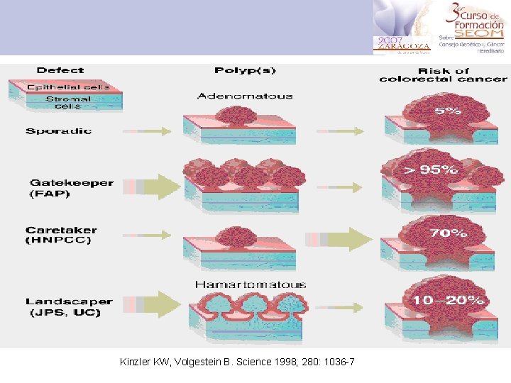 Kinzler KW, Volgestein B. Science 1998; 280: 1036 -7 