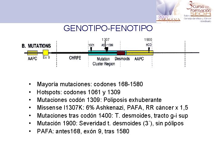 GENOTIPO-FENOTIPO 1307 1900 Ex 9 • • Mayoría mutaciones: codones 168 -1580 Hotspots: codones