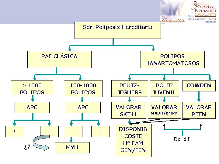 Sdr. Poliposis Hereditaria PAF CLÁSICA PÓLIPOS HANARTOMATOSOS > 1000 PÓLIPOS 100 -1000 PÓLIPOS PEUTZJEGHERS