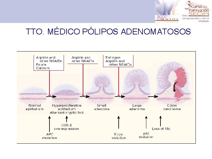 TTO. MÉDICO PÓLIPOS ADENOMATOSOS 