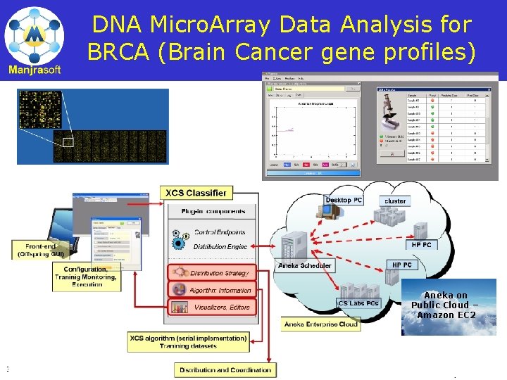 DNA Micro. Array Data Analysis for BRCA (Brain Cancer gene profiles) Aneka on Public