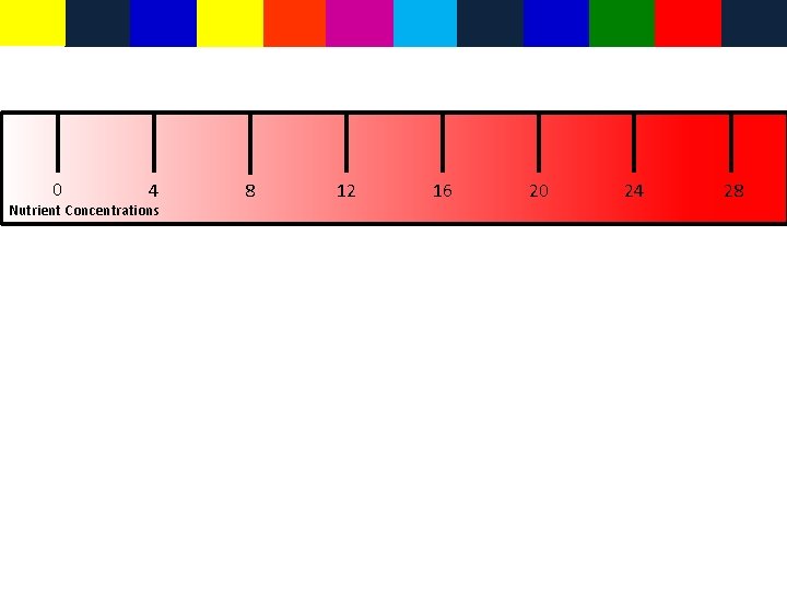 4 0 Nutrient Concentrations 8 12 16 20 24 28 