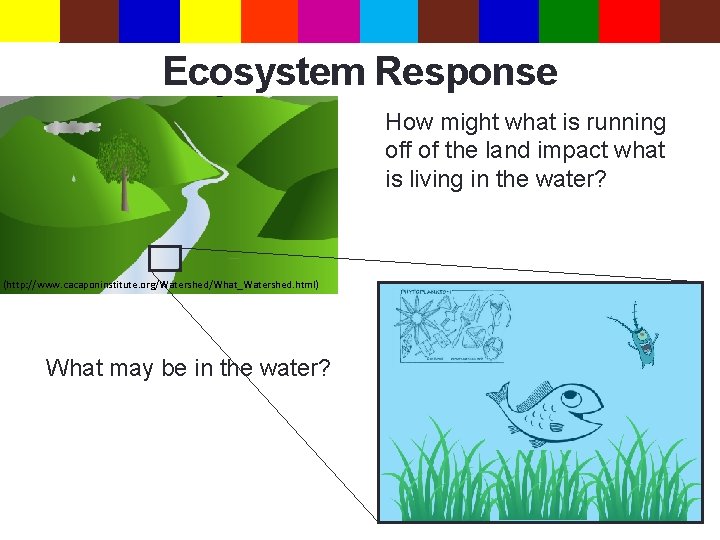 Ecosystem Response How might what is running off of the land impact what is